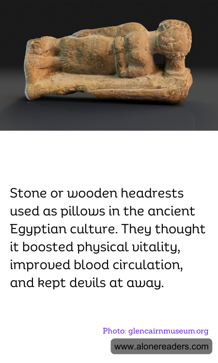 General Knowledge Learning Cards