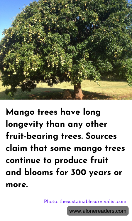 General Knowledge Learning Cards