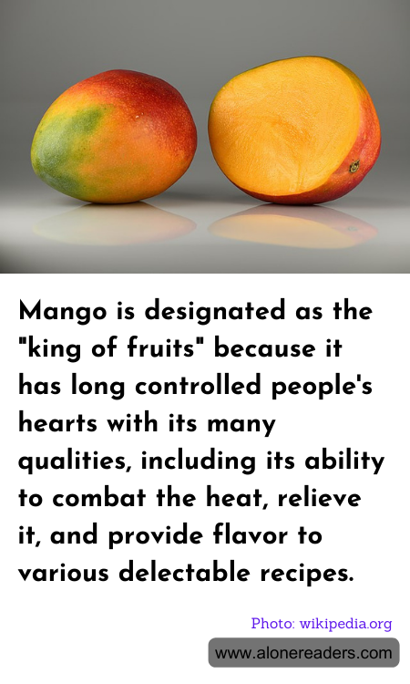 General Knowledge Learning Cards