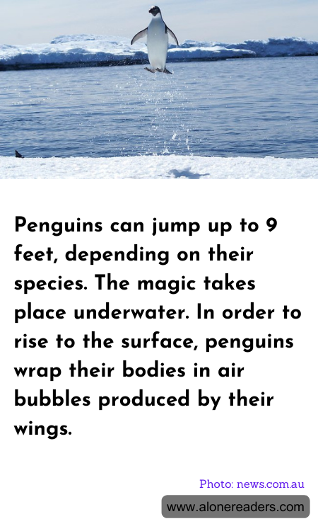 General Knowledge Learning Cards