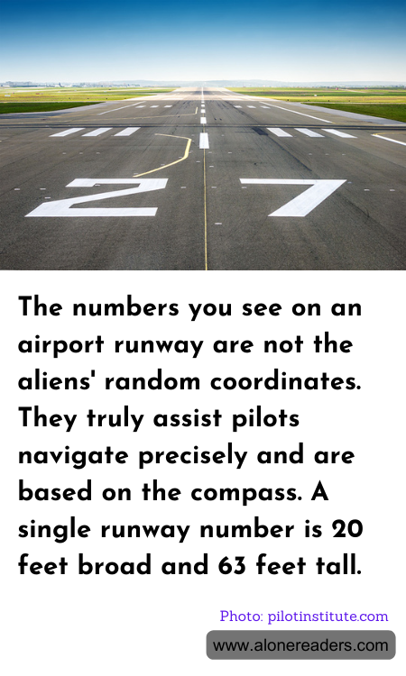 General Knowledge Learning Cards