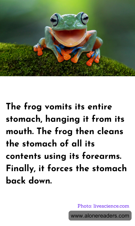 General Knowledge Learning Cards