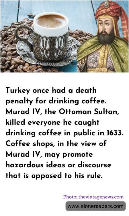 General Knowledge Learning Cards