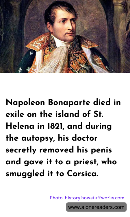 General Knowledge Learning Cards