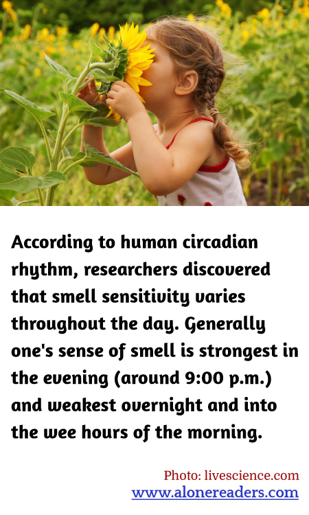 According to human circadian rhythm, researchers discovered that smell sensitivity varies throughout the day. Generally one's sense of smell is strongest in the evening (around 9:00 p.m.) and weakest overnight and into the wee hours of the morning.