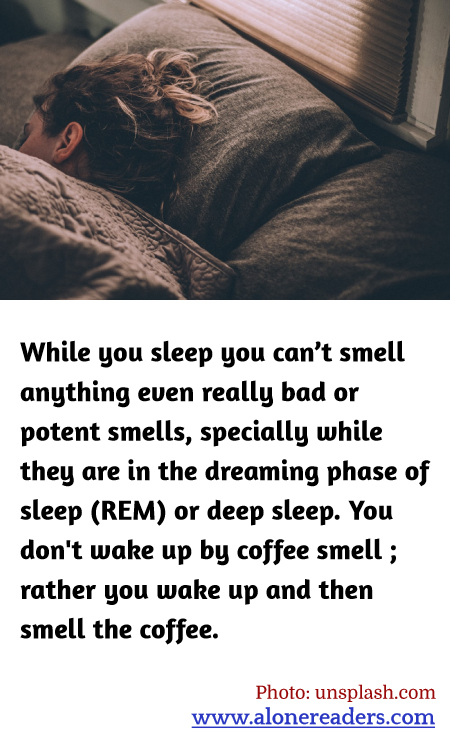 General Knowledge Learning Cards