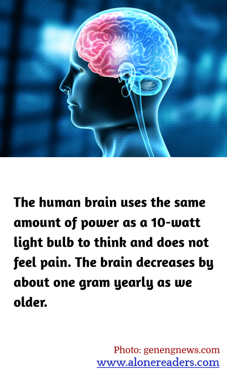 General Knowledge Learning Cards