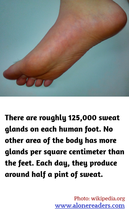 General Knowledge Learning Cards