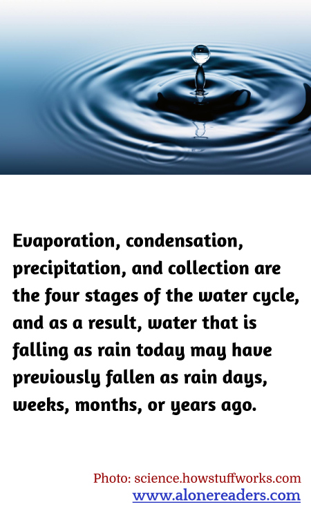 General Knowledge Learning Cards