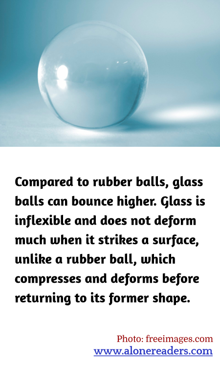 General Knowledge Learning Cards