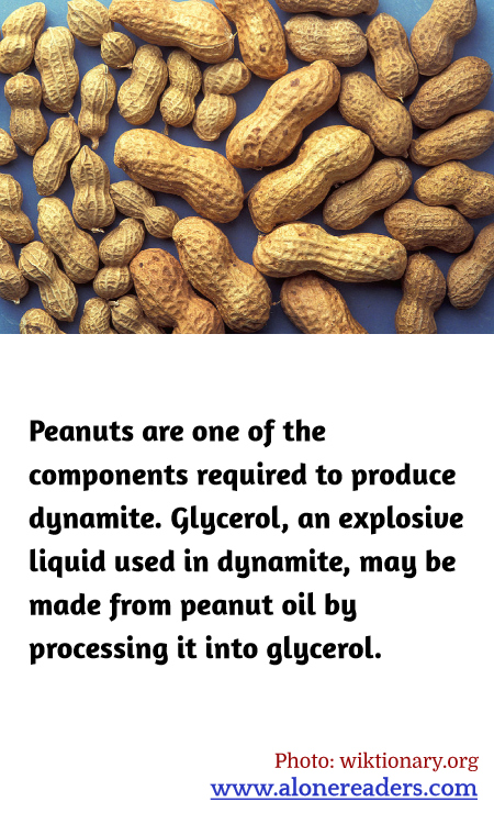 General Knowledge Learning Cards