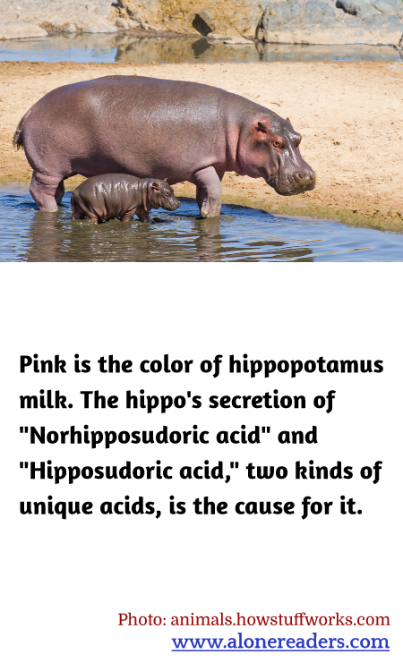 General Knowledge Learning Cards