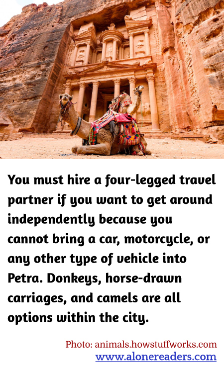 General Knowledge Learning Cards