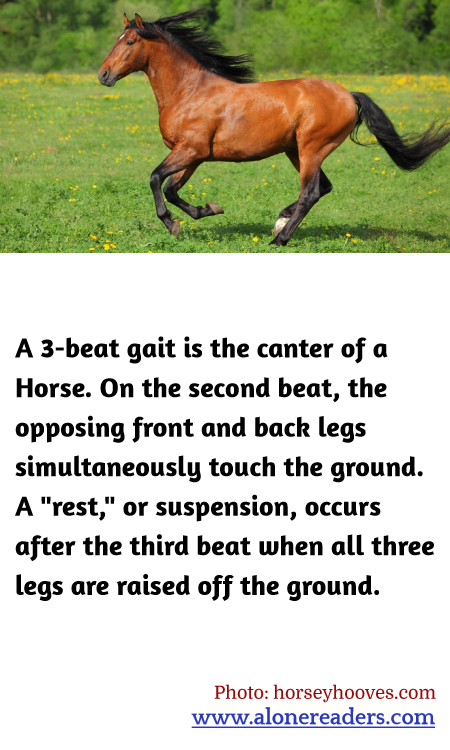 General Knowledge Learning Cards