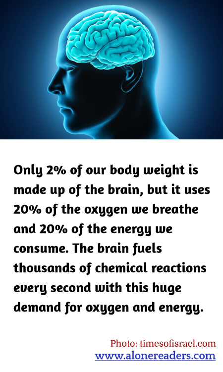 General Knowledge Learning Cards