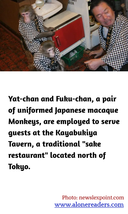 General Knowledge Learning Cards