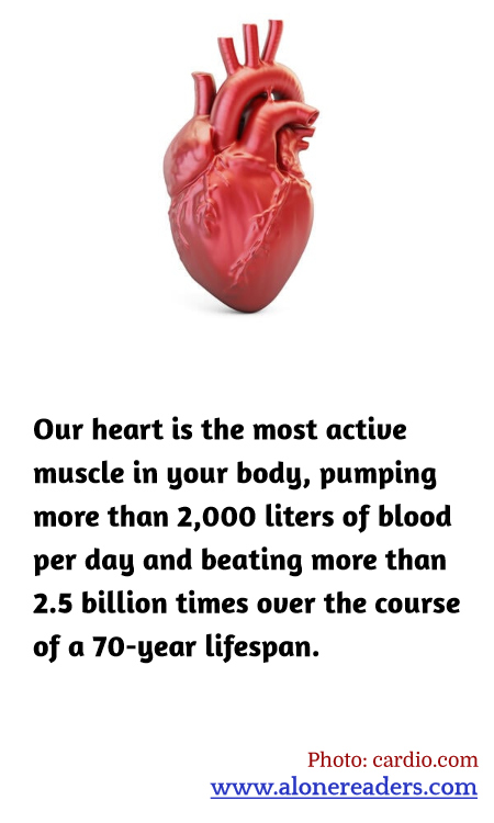 General Knowledge Learning Cards