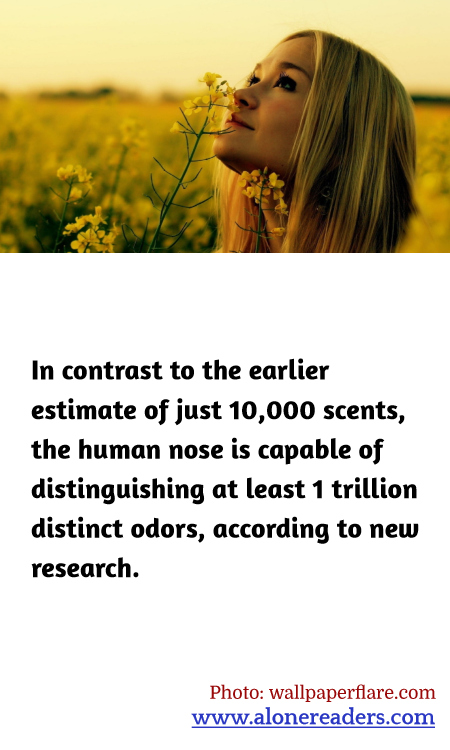 General Knowledge Learning Cards