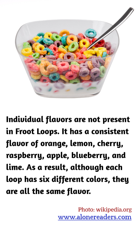 General Knowledge Learning Cards