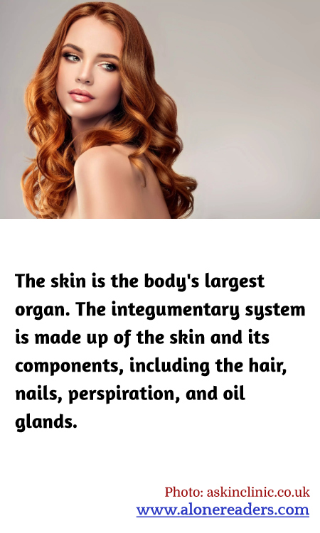 General Knowledge Learning Cards