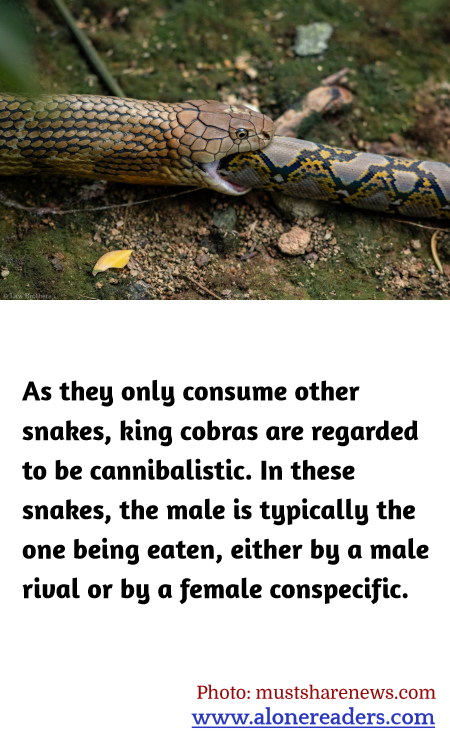 General Knowledge Learning Cards