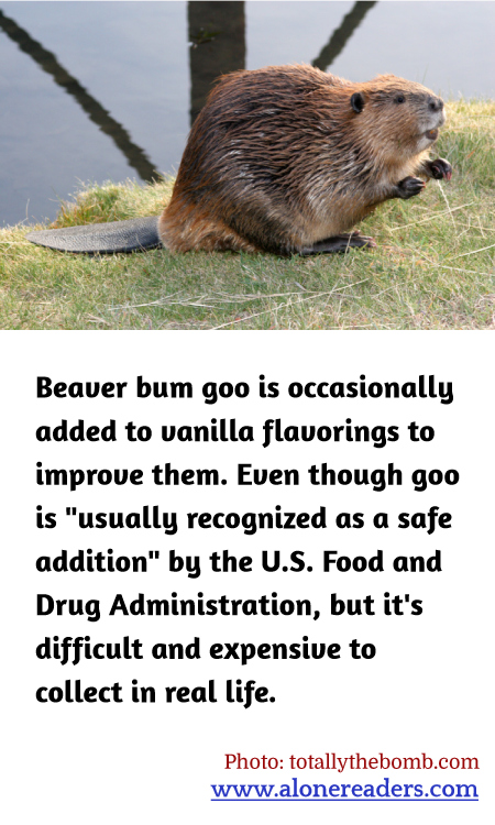 General Knowledge Learning Cards