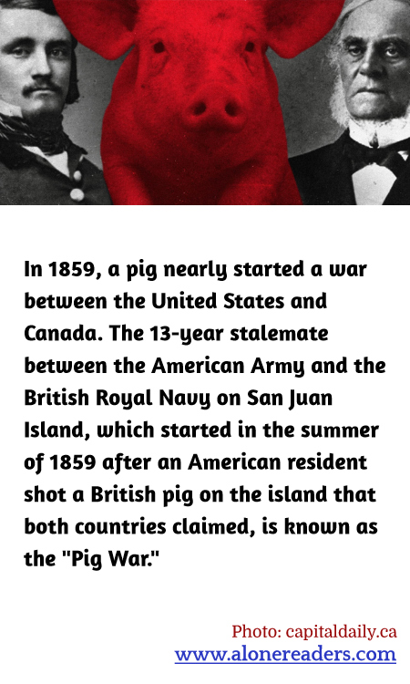 General Knowledge Learning Cards