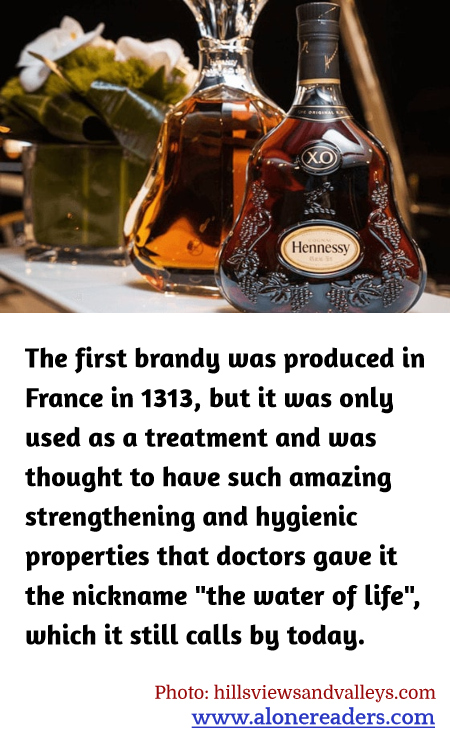 General Knowledge Learning Cards