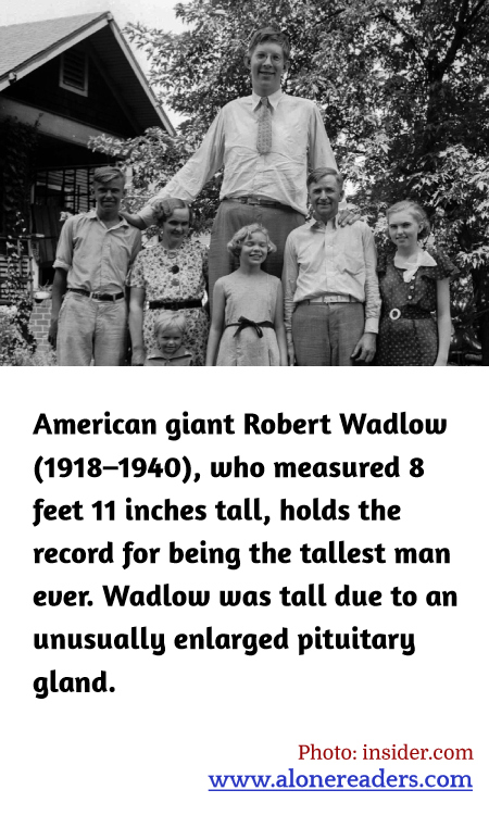 General Knowledge Learning Cards