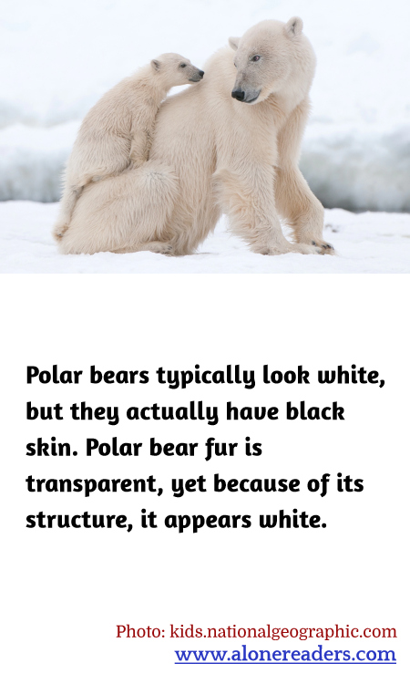 General Knowledge Learning Cards