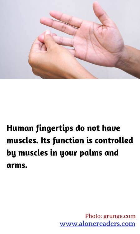 General Knowledge Learning Cards