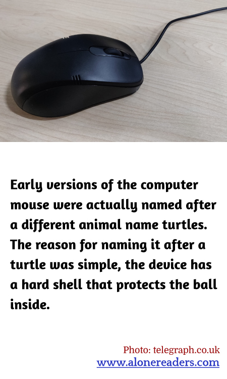 General Knowledge Learning Cards