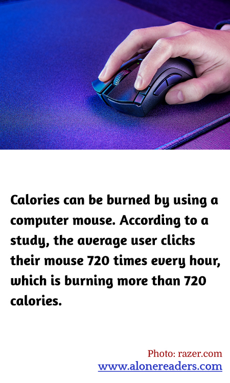 General Knowledge Learning Cards