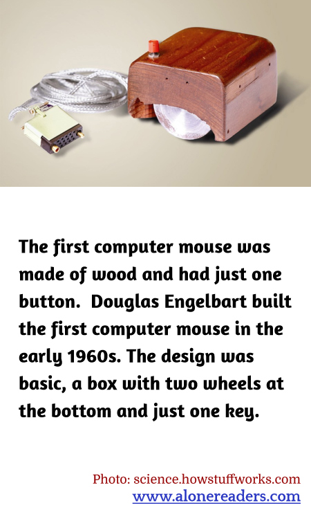 General Knowledge Learning Cards