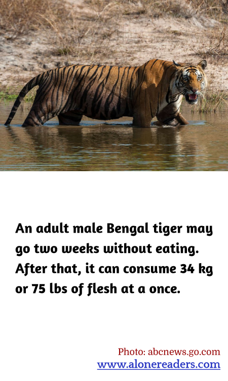 General Knowledge Learning Cards