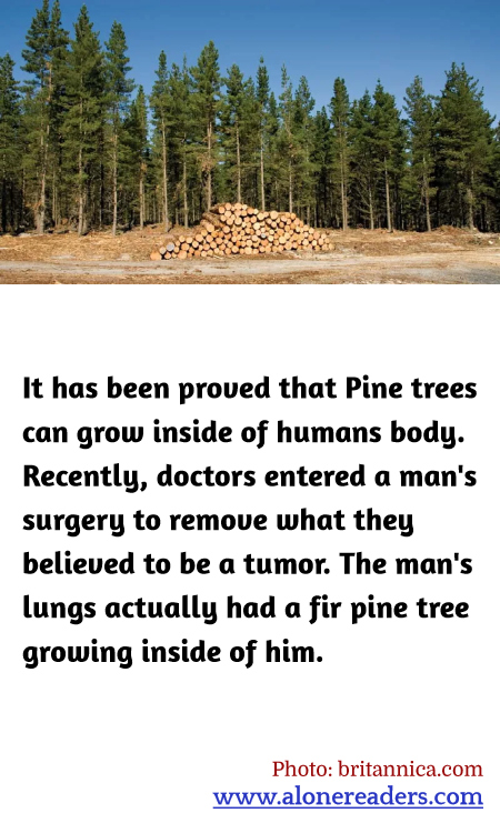 General Knowledge Learning Cards