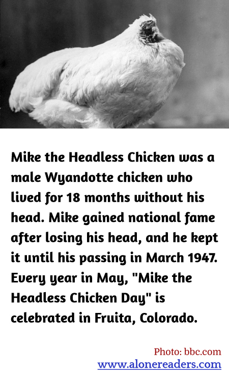 General Knowledge Learning Cards