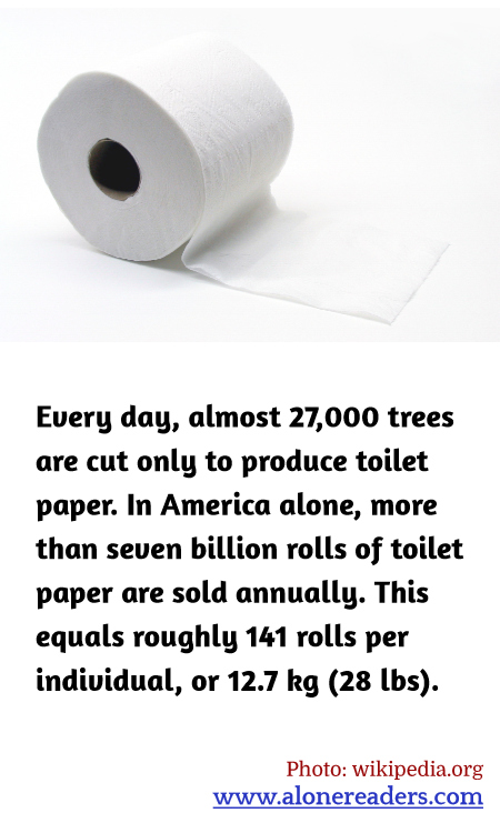 Every day, almost 27,000 trees are cut only to produce toilet paper. In America alone, more than seven billion rolls of toilet paper are sold annually. This equals roughly 141 rolls per individual, or 12.7 kg (28 lbs).