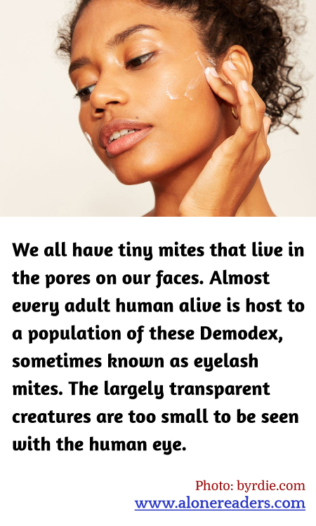 We all have tiny mites that live in the pores on our faces. Almost every adult human alive is host to a population of these Demodex, sometimes known as eyelash mites. The largely transparent creatures are too small to be seen with the human eye.