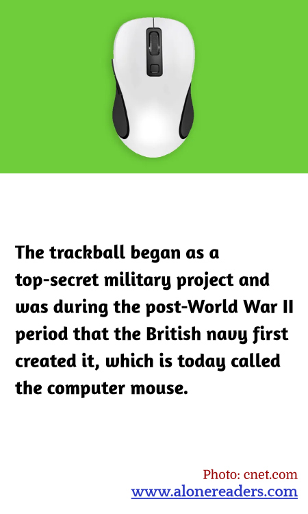 General Knowledge Learning Cards