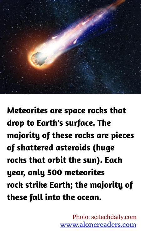 General Knowledge Learning Cards