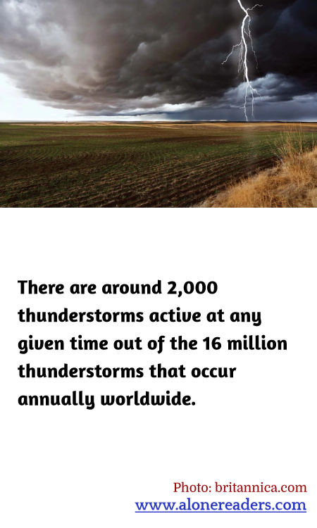 General Knowledge Learning Cards