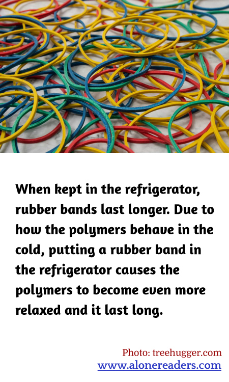 General Knowledge Learning Cards