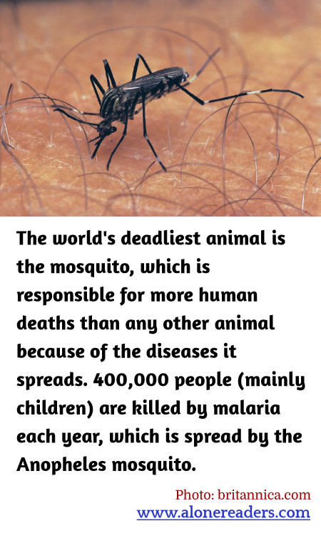 General Knowledge Learning Cards