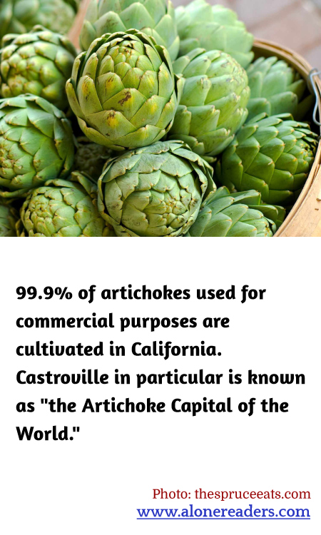 General Knowledge Learning Cards