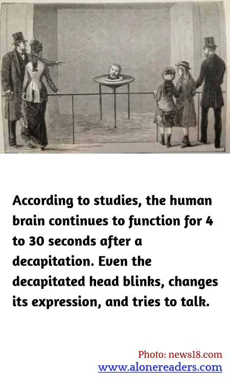 According to studies, the human brain continues to function for 4 to 30 seconds after a decapitation. Even the decapitated head blinks, changes its expression, and tries to talk.
