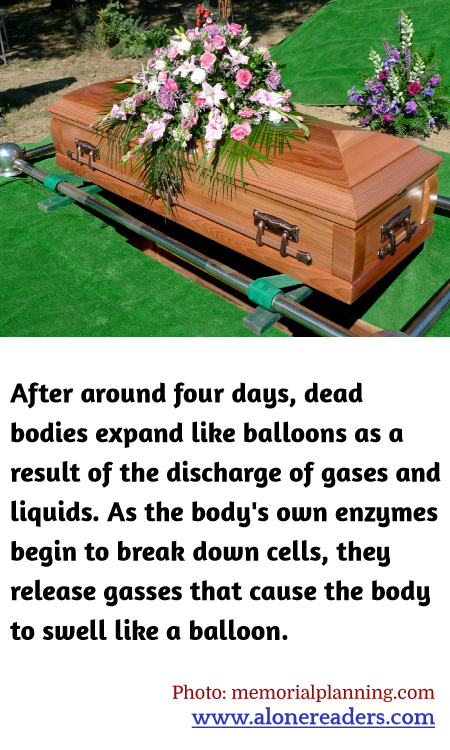 General Knowledge Learning Cards