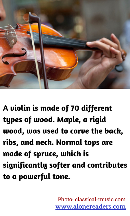 General Knowledge Learning Cards