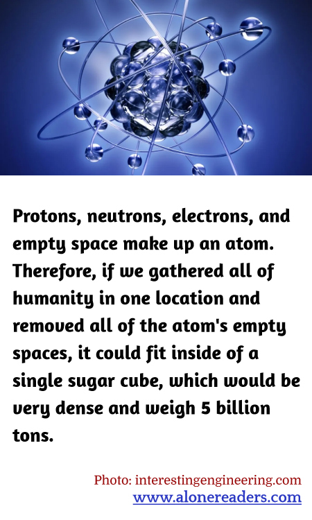 General Knowledge Learning Cards