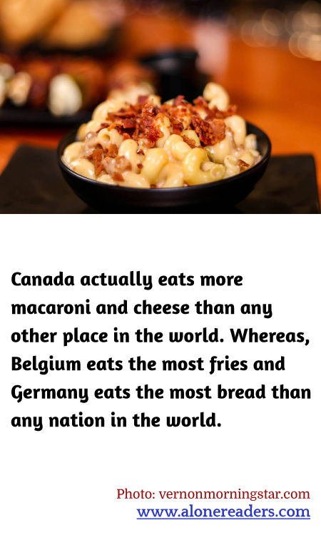 General Knowledge Learning Cards